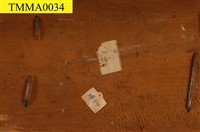 海南穿山甲藏品圖，第12張